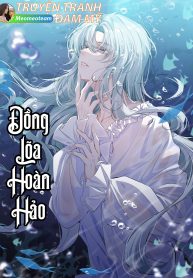 bìa đồng lão hoàn hảo