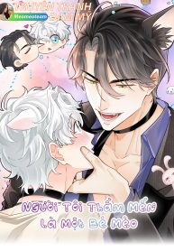 bìa người tôi thầm mến