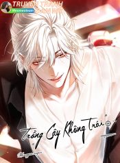 bìa trông cây không trái