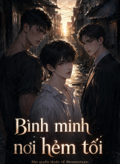bìa Bình minh nơi hẻm tối